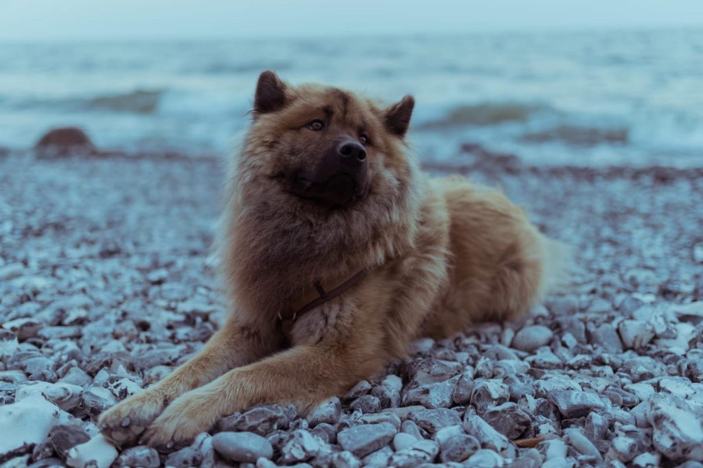 Argo vom Hauptstadtgarten_Talissa Klöcke