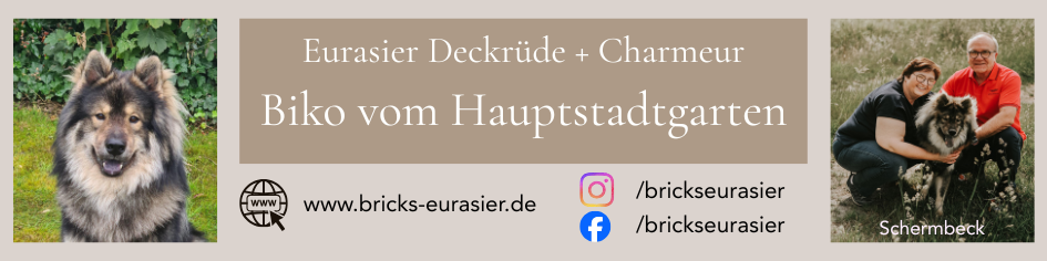 Banner Bricks-eurasier