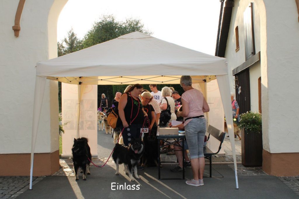 Einlass Eurasierschau Medebach