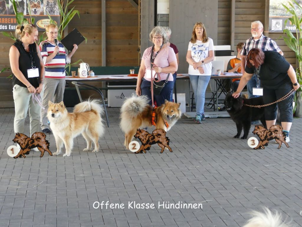 offene Klasse Hündinnen