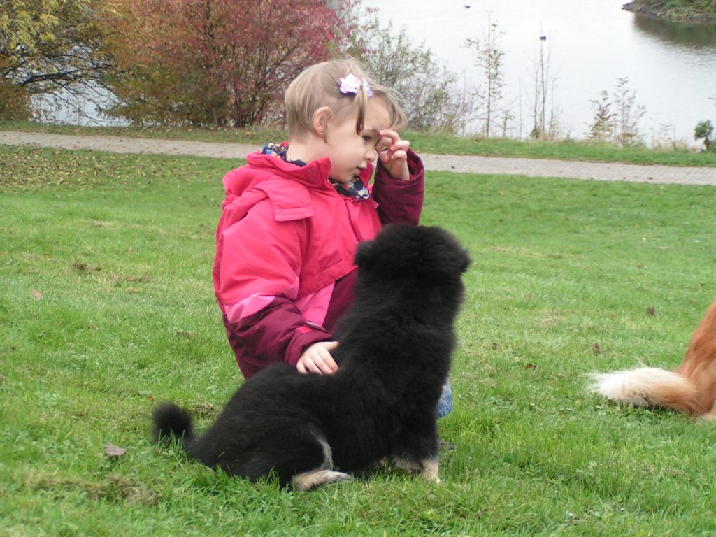 Mädchen mit Eurasier
