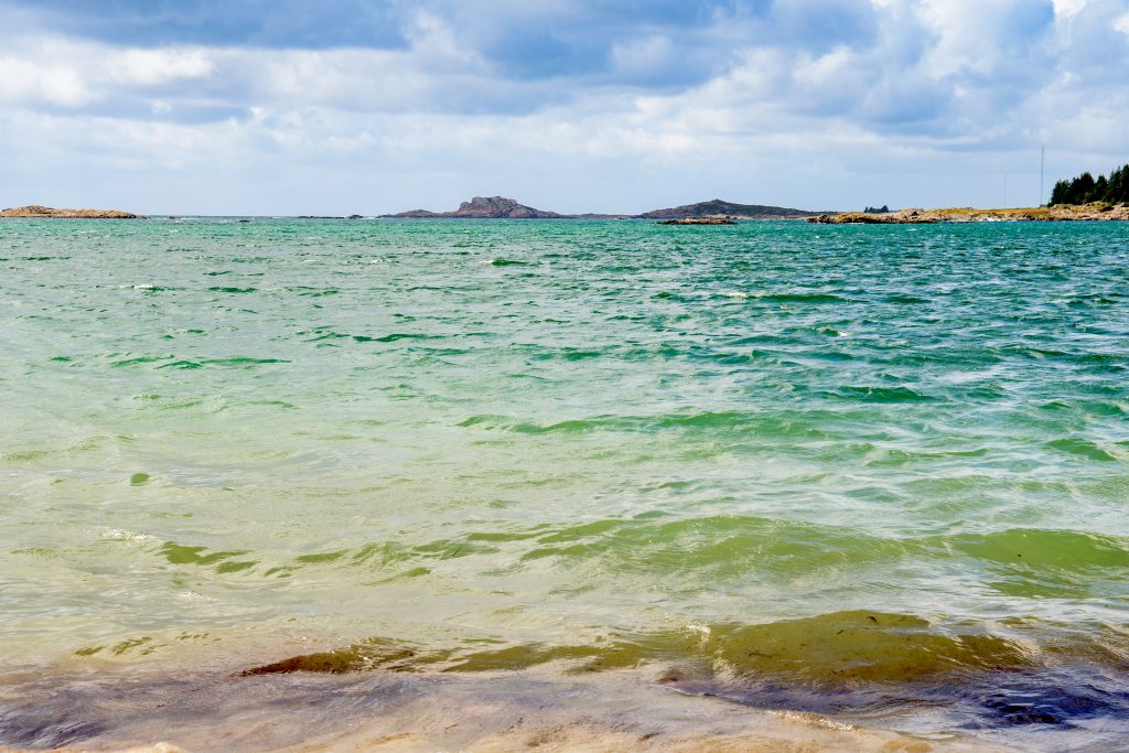 und das Wasser sieht toll aus