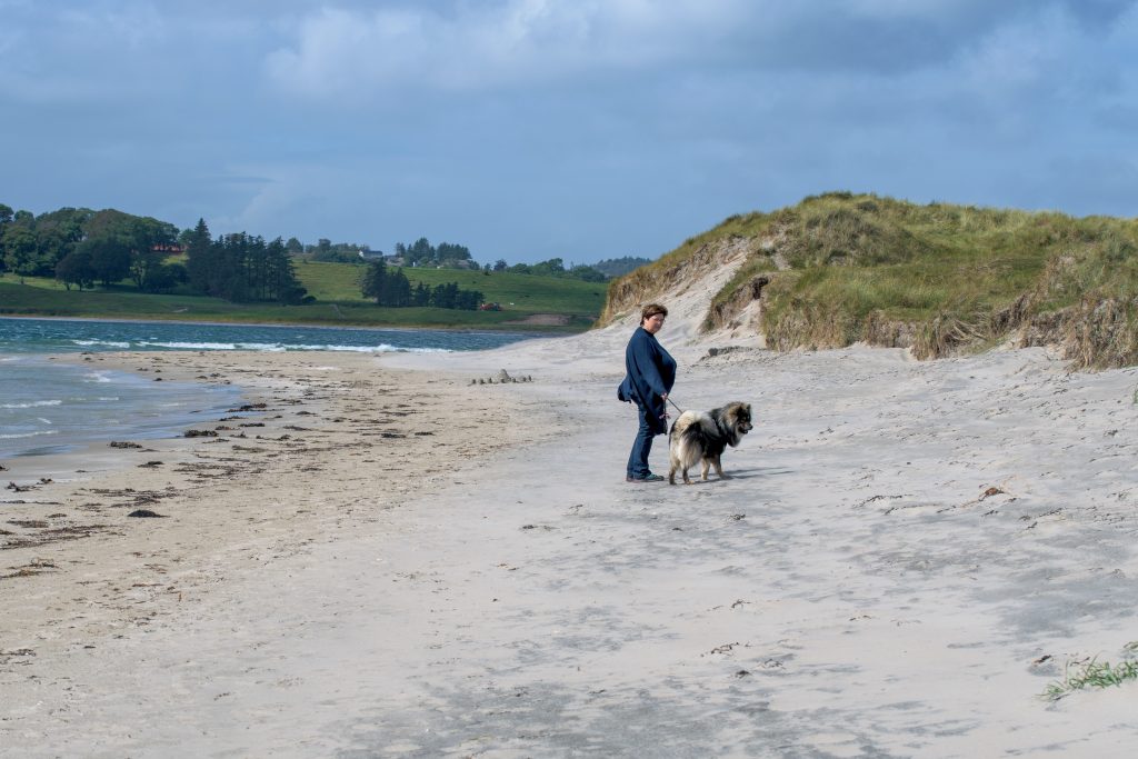 die Dünen geben etwas Schutz vor dem Wind