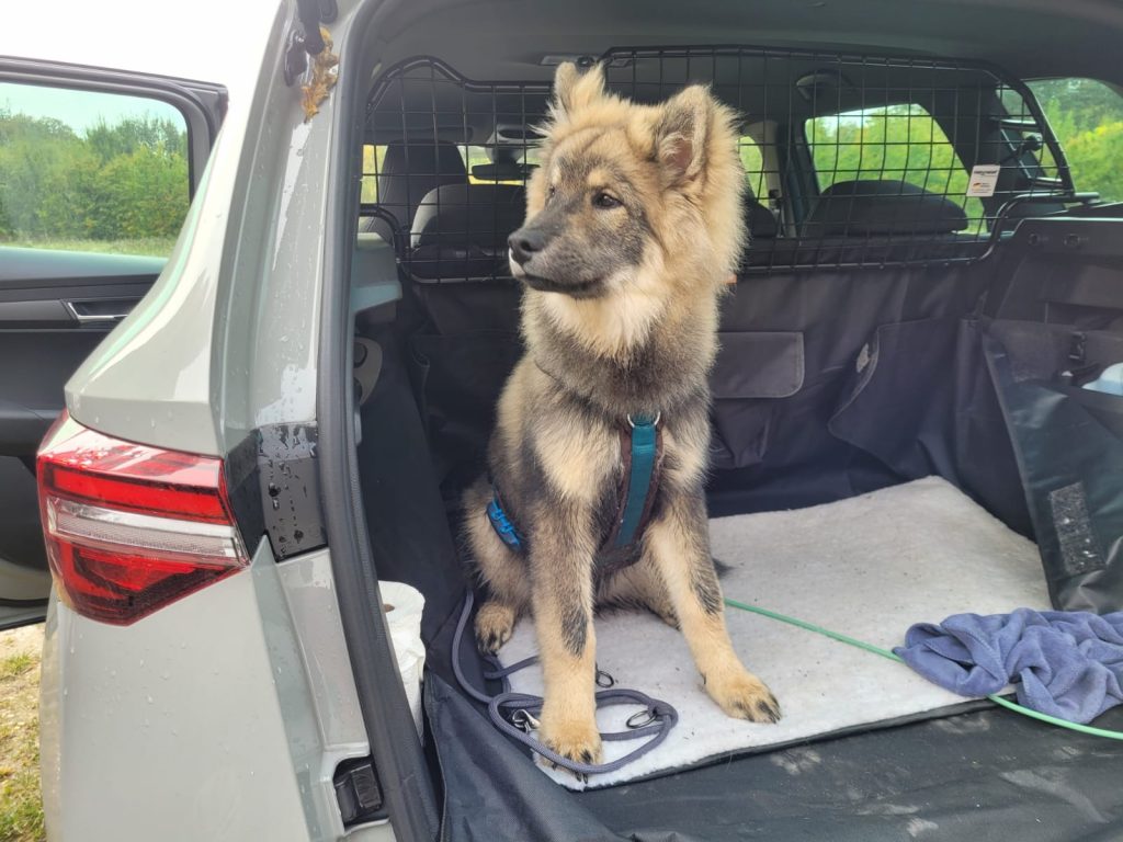 Biko wartet auf die Abfahrt