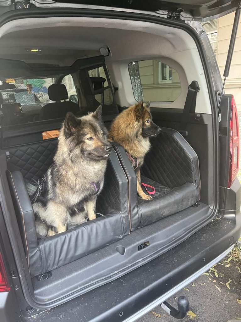 Auri-und-Freya-im-Kofferraum