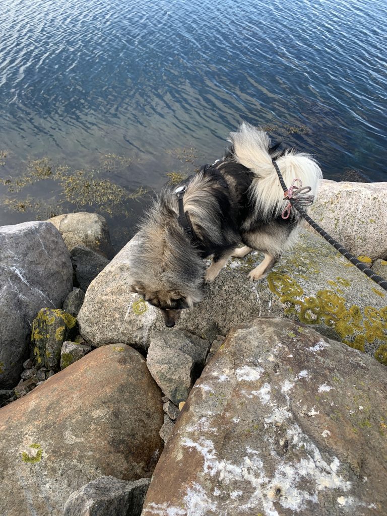endlich über die Felsen klettern