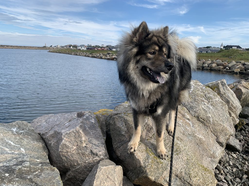 endlich über die Felsen klettern