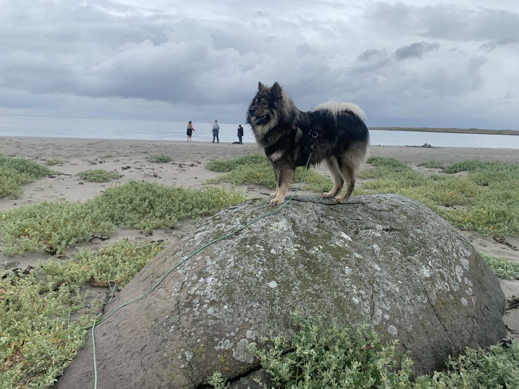 Am Strand ist es auch schön