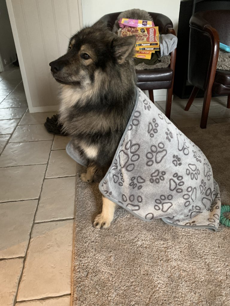 Abtrocken ist angesagt