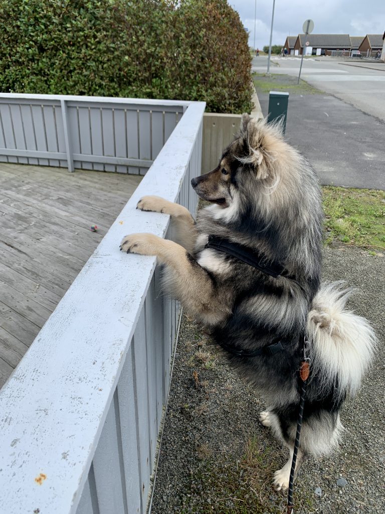 ich warte immer noch