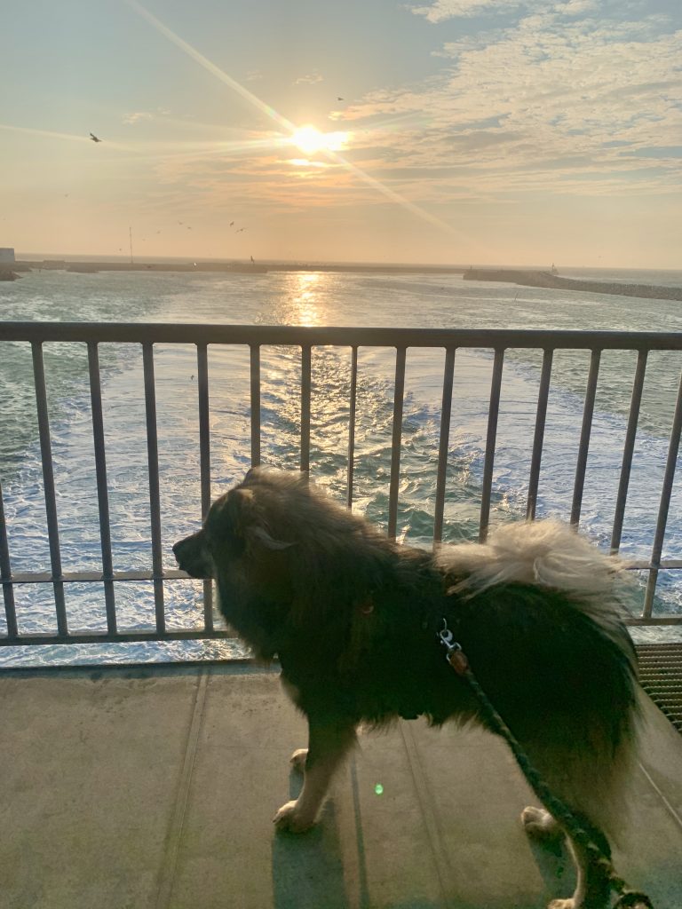 ich komme bestimmt wieder