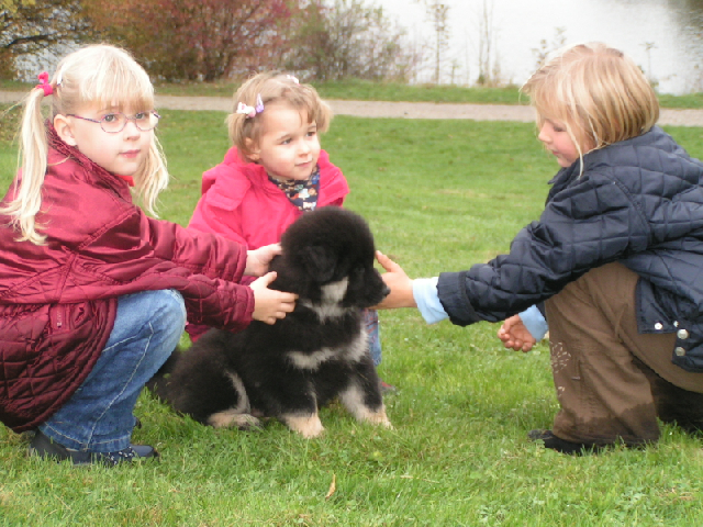 Kinder freuen sich über den Welpe
