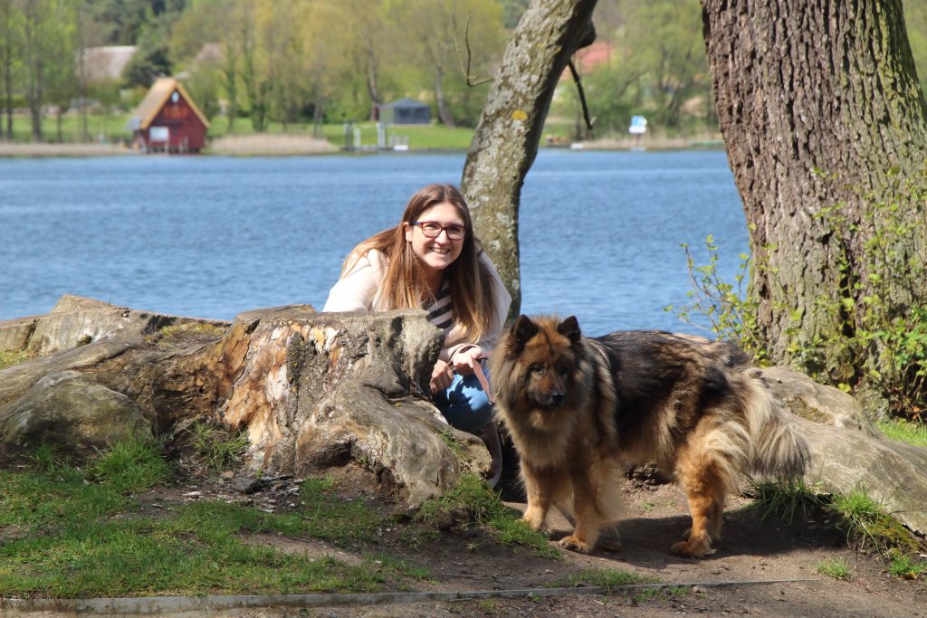 13 Jahre alter Eurasier
