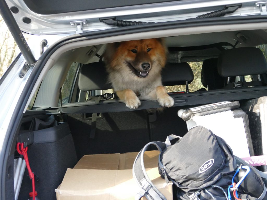 Paradebeispiel, wie man nicht fährt