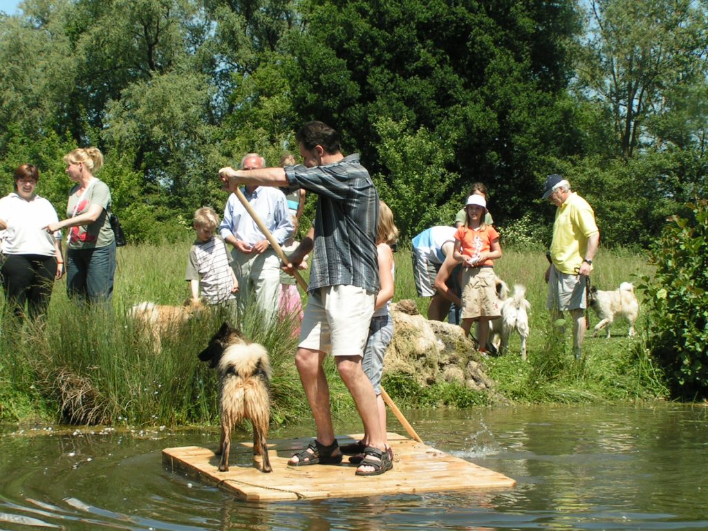 Freizeit mit dem Eurasier