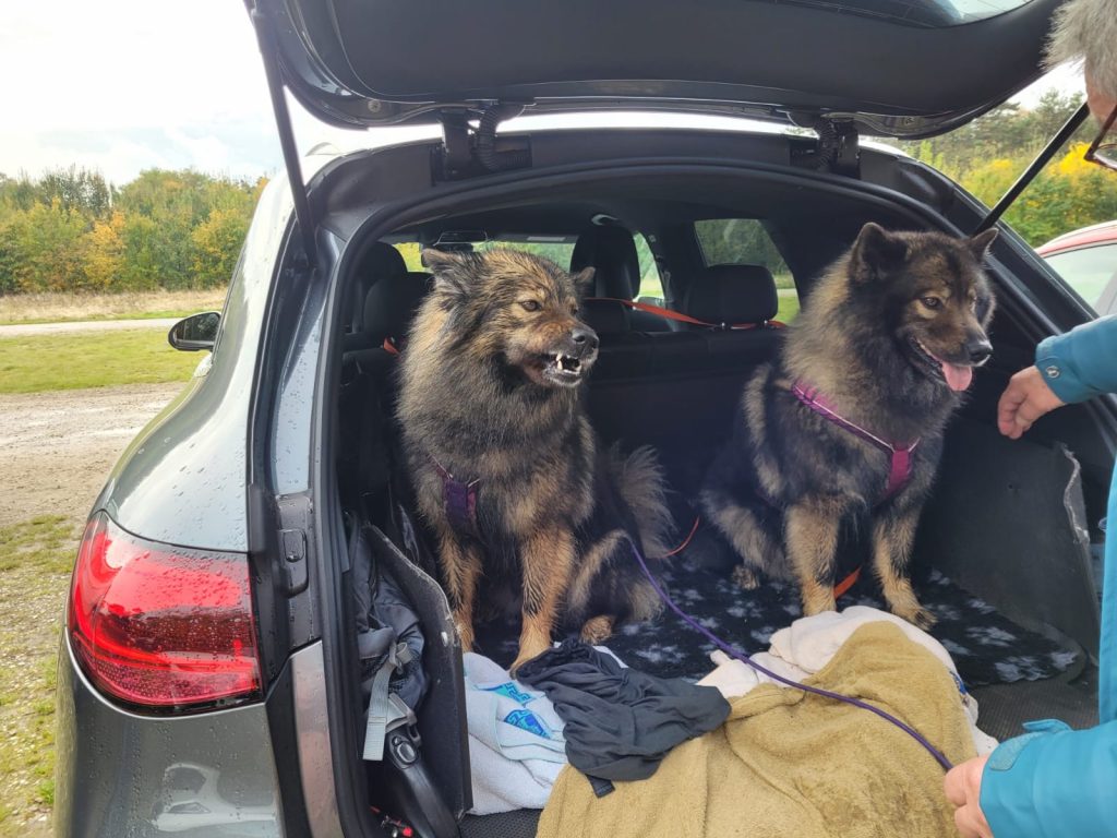 Cosma und Aura werden reisefertig gemacht