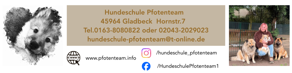 Banner Hundeschule Pfotenteam